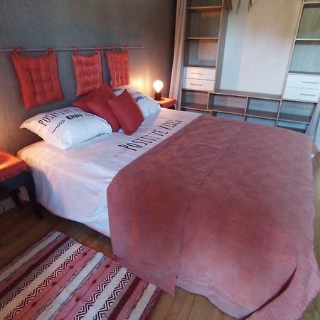 Au Bord De L'Eau Coulon Apartman Kültér fotó